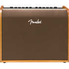 Fender 2314000000 Acoustic 100 watt guitar amp
