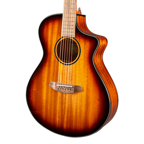 Breedlove discovery deals ce