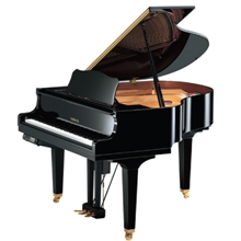 Yamaha Pianos DGB1KENST-PE Yamaha  Disklavier Enspire (With Recording Feature)  5' Acoustic Grand Piano